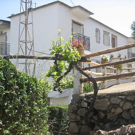 Alojamiento Rural Mirador Del Avellano 알푸하라 데 라 시에라 외부 사진