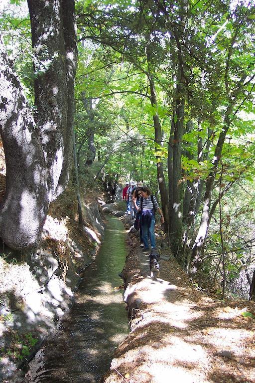 Alojamiento Rural Mirador Del Avellano 알푸하라 데 라 시에라 외부 사진